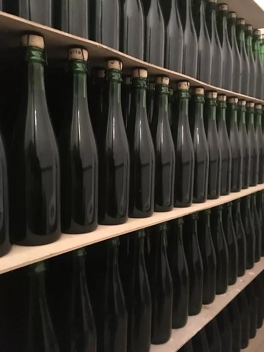 Ļoti daudz sidra pudeļu izvietotas rindās