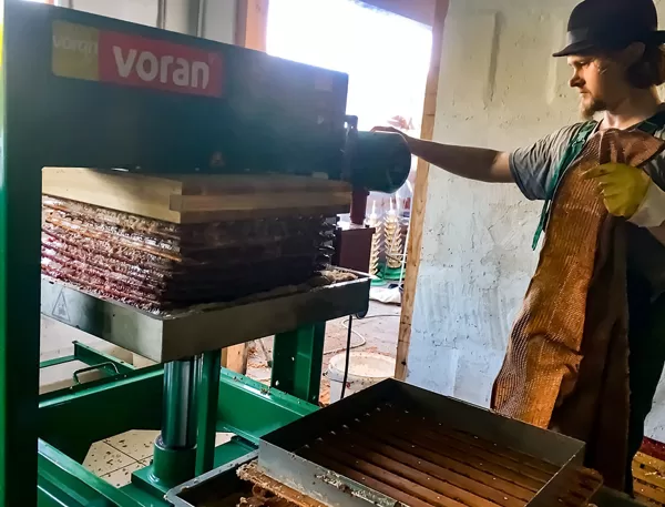 Māris Plūme spiež ābolu sulu ar Voran 100P2 sulas spiedi